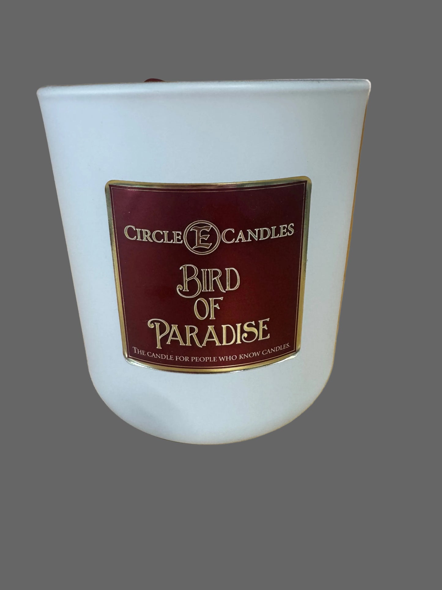 Bird of Paradise